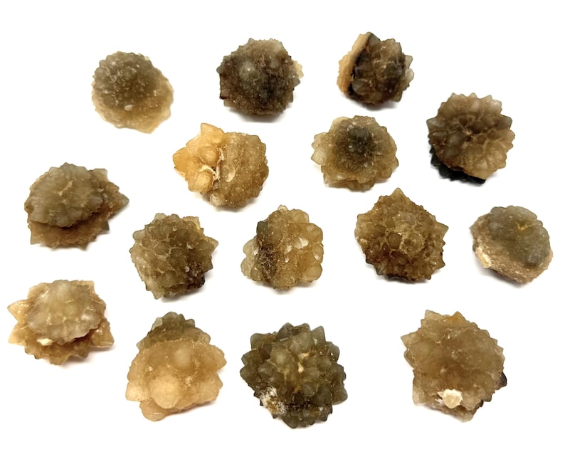 May include: A collection of fourteen small, individual mineral specimens. Each piece features a cluster of translucent, brownish-gray, spiky crystal formations with a rough, textured surface and a rounded, multi-faceted appearance.