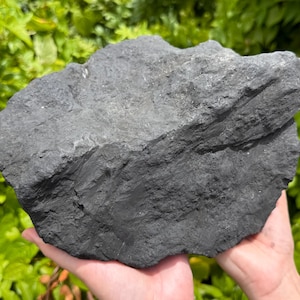 May include: A large, dark gray rock with a rough, textured surface. The rock is held in two hands against a backdrop of green foliage. The rock's irregular shape and color suggest it is a natural mineral specimen.