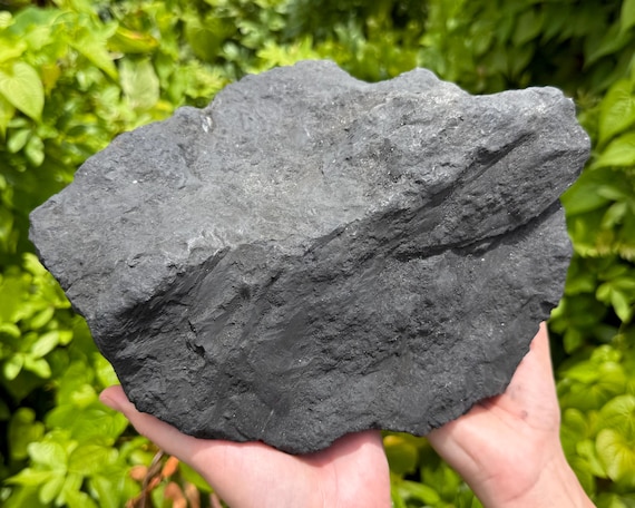 JUMBO Shungite Raw Natural Stones, 3 - 13 lb Range - You Choose Size (EMF Protection, Rough Shungite Crystals)