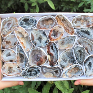 May include: A box filled with various geode specimens. The geodes are cut open, revealing crystal formations in shades of gray, brown, and white. The geodes are of different shapes and sizes, and are arranged in a white box.
