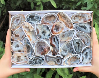Large Natural Oco Agate Geodes, 1.5" - 3" Agate Crystal Druze Halves Wholesale Bulk Lots