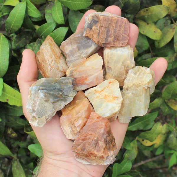 Moonstone Rough Natural Stones:Choose How Many Pieces (Premium Quality 'A' Grade)