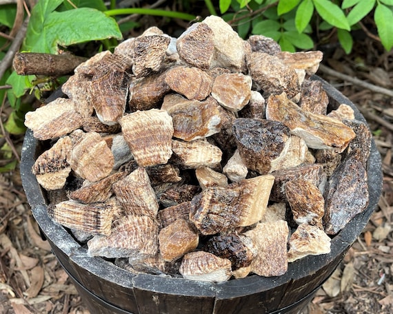 Brown Aragonite Rough Natural Stones: Choose Ounces or lb Bulk Wholesale Lots (Premium Quality 'A' Grade, Banded Aragonite, From Peru)