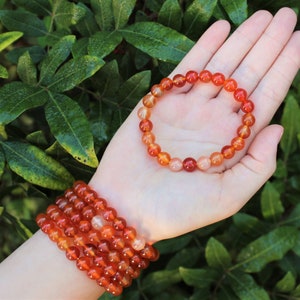 May include: Several carnelian beaded bracelets in shades of orange and red are displayed. One bracelet is held in an open hand, while others are stacked on the wrist. The background features lush green foliage.