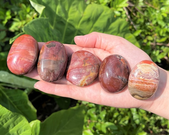 Petrified Wood Hand Polished Stones: Choose How Many ('A' Grade Petrified Wood Pebbles, Petrified Wood Palm Stones)