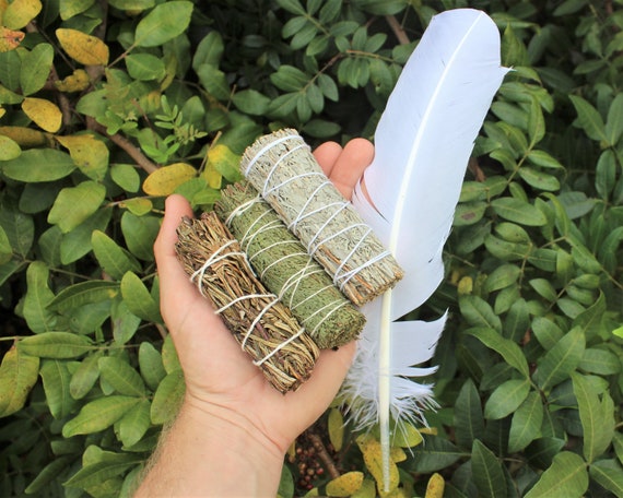 Sage Bundle - Blue, Cedar & Yerba Sage Set PLUS White Smudging Feather (House Cleansing)