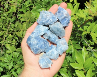 Rough Natural Blue Calcite Premium Grade Stones: Choose How Many Pieces (Raw Blue Calcite)