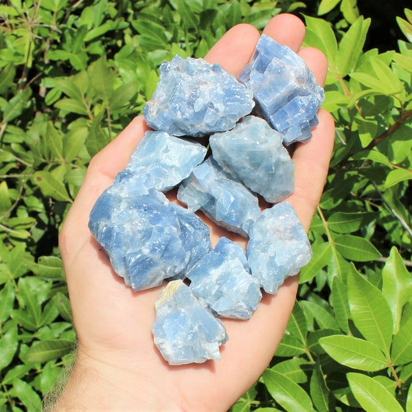 Blue Calcite Rough Natural Premium Grade Stones: Choose How Many Pieces (Premium Quality 'A' Grade)