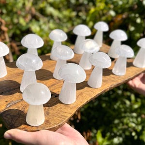 Selenite Crystal Mushrooms, 3&quot; Natural Polished Selenite Mushrooms - Choose How Many (Mushroom Carving, Crystal Healing)