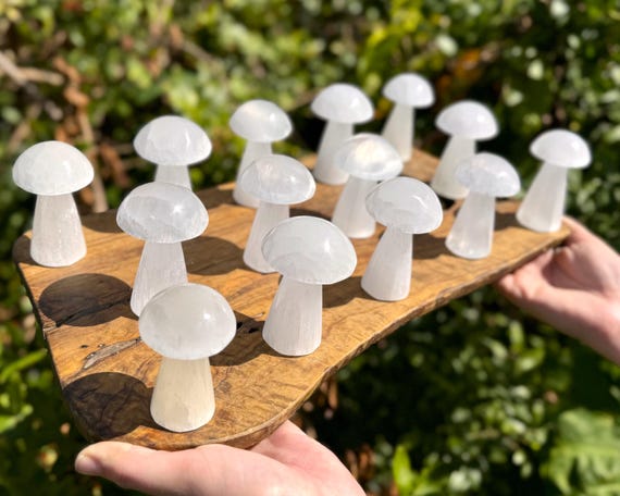 Selenite Crystal Mushrooms, 3" Natural Polished Selenite Mushrooms - Choose How Many (Mushroom Carving, Crystal Healing)