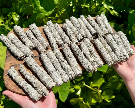 White Sage Smudge Sticks (Thin) - Choose How Many (Handy Mini White Sage Sticks, Travel Size Bundles)