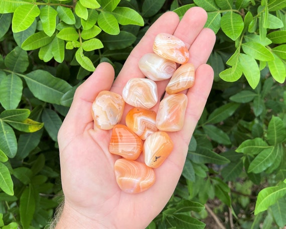 Apricot Agate Tumbled Stones: Choose How Many Pieces (Premium Quality 'A' Grade)