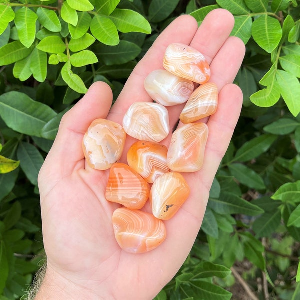 Apricot Agate Tumbled Stones: Choose How Many Pieces (Premium Quality 'A' Grade)