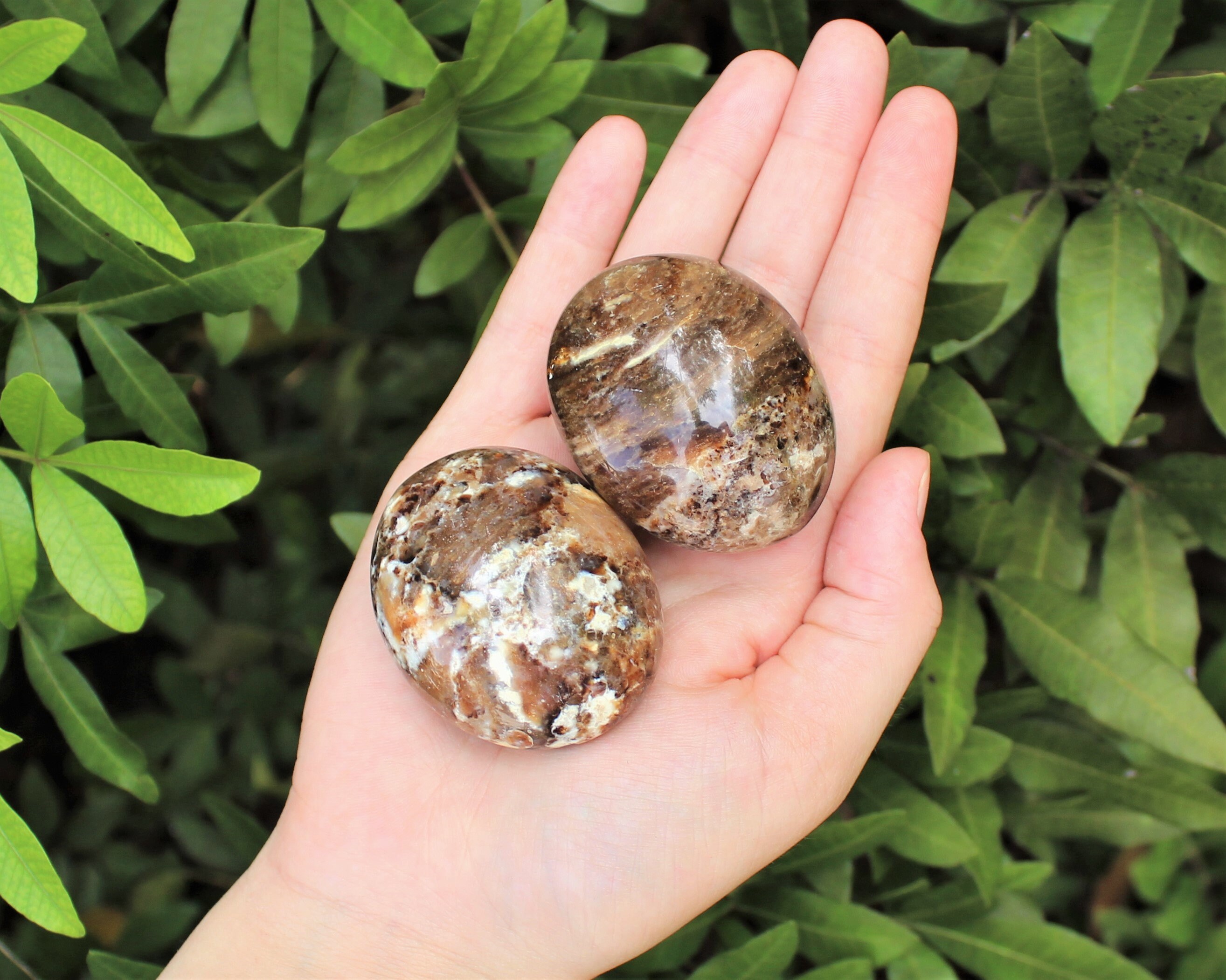 Black opal healing online