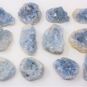 May include: Twelve blue celestite crystal clusters, each with a unique shape and size. The crystals are a light blue color and have a smooth, polished finish.