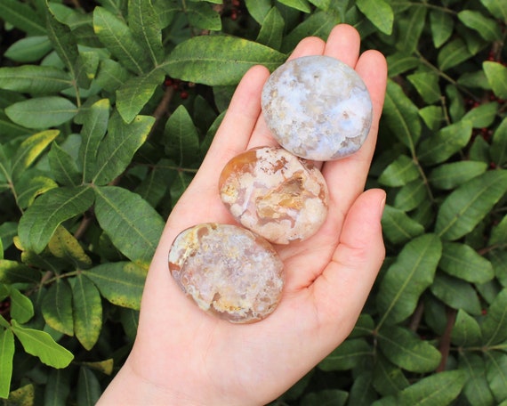 Flower Agate Hand Polished Stones: Choose How Many ('A' Grade Polished Flower Agate Pebbles, Flower Agate Palm Stone)
