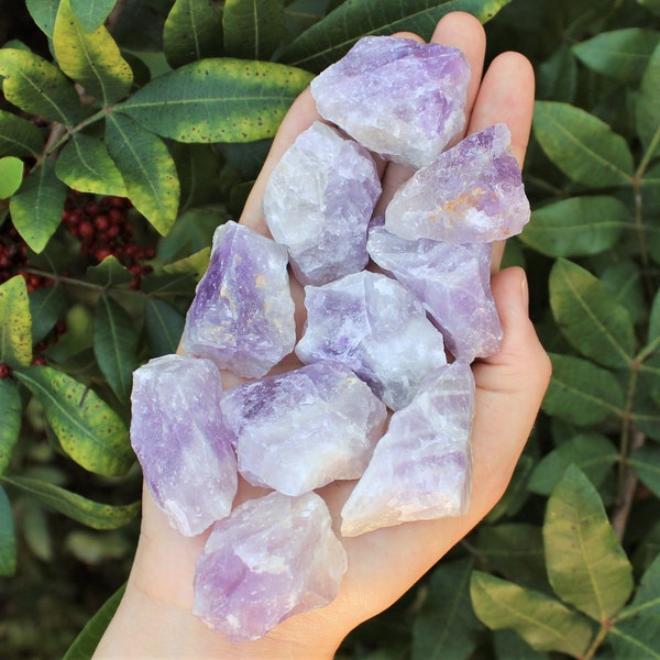 Rough Natural Amethyst (Madagascar) Premium Grade Crystals: Choose How Many Pieces (Premium Quality 'A' Grade Amethyst Crystals)