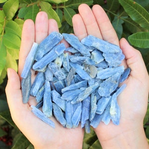 May include: A handful of blue kyanite crystal points. The crystals are long and slender, with a light blue color. They are arranged in a random pattern, with some overlapping.