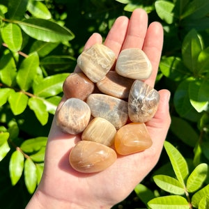 Moonstone Tumbled Stones: Choose How Many Pieces (Premium Quality &#39;A&#39; Grade)