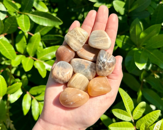 Mixed Moonstone Tumbled Stones: Choose How Many Pieces (Premium Quality 'A' Grade)