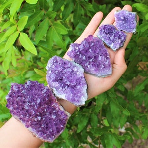 Natural Amethyst Crystal Clusters, 'AAA' Grade - Choose Size (Amethyst Druze From Uruguay)