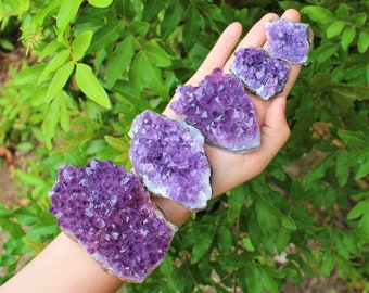 Amethyst Crystal Cluster: "A" Grade Druze, Choose Size! (Amethyst Geode, Amethyst Crystal, Amethyst Cluster)