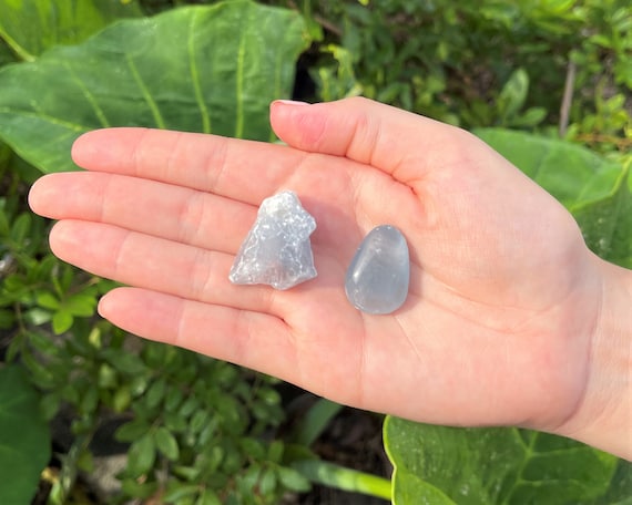 Celestite Rough Natural & Tumbled Stones Set - 2 Piece Combo Kit (Natural Raw Celestite + Tumbled Celestite Crystals)