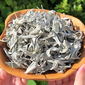 Loose White Sage Smudge LEAVES ONLY - Choose Ounces or lbs Bulk Wholesale Lots (Cleansing, Smudging, Purification, House Blessings)