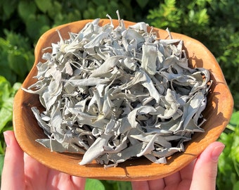 Loose White Sage Smudge LEAVES ONLY - Choose Ounces or lbs Bulk Wholesale Lots (Cleansing, Smudging, Purification, House Blessings)