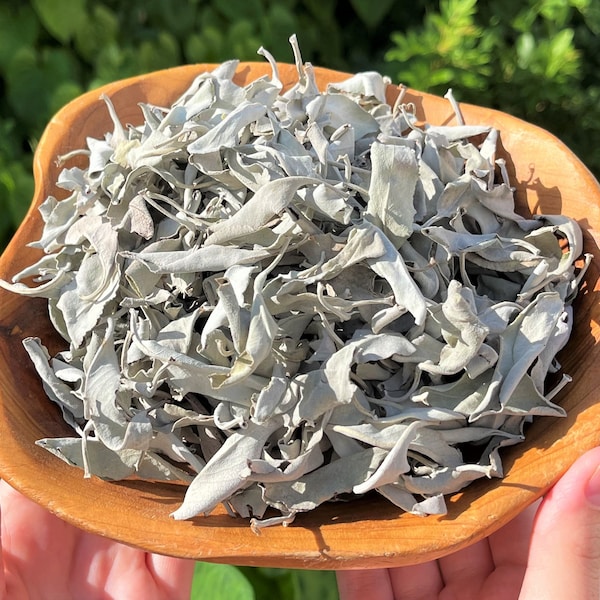 Sage Cleansing Kit Etsy