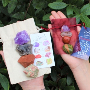 Scorpio Zodiac Crystal Kit, 4 Birthstones in an Organza Pouch: You Choose Rough or Tumbled Stones, or Both! (Crystal Gift Kits)