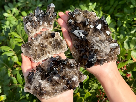 Smoky Quartz Crystal Clusters 'AAA' Grade Quality Specimens - Choose Size (LARGE Premium Quality Smoky Quartz Clusters, Smokey Quartz)
