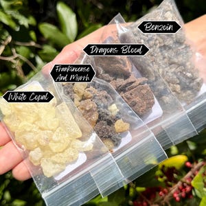 Resin Incense Sampler Set of 4: Benzoin - Frankincense and Myrrh - Dragons Blood - White Copal (Resin Incense Starter Kit)