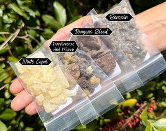 Juego de 4 muestras de incienso de resina: Benjuí, Incienso y Mirra, Sangre de Dragón y Copal Blanco.