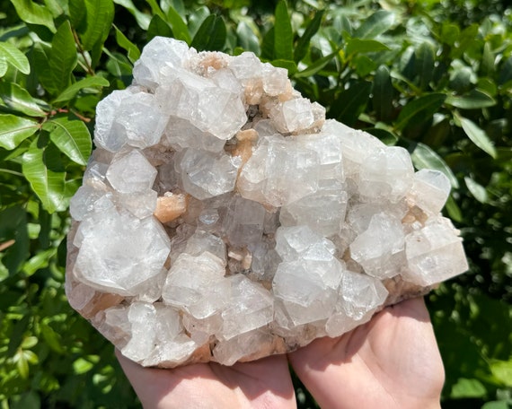 Apophyllite & Stilbite Crystal Cluster - EXACT SPECIMEN Shown ('AAA' Grade Natural Apophyllite Cluster with Inclusions, AP2)