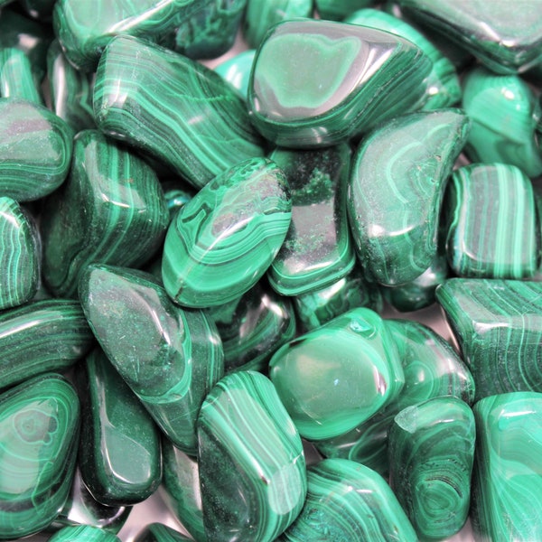 Malachite Tumbled Stones, Medium: Choose Ounces or lb Bulk Wholesale Lots (Premium Quality 'A' Grade)