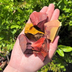 May include: A hand holding a collection of raw, colorful jasper stones. The stones display a variety of colors, including deep reds, oranges, and yellows. The rough texture and natural shapes of the stones are visible, with a backdrop of green foliage.