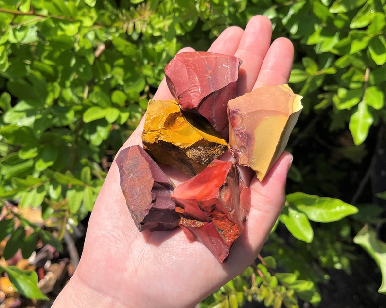 May include: A hand holding a collection of raw, colorful jasper stones. The stones display a variety of colors, including deep reds, oranges, and yellows. The rough texture and natural shapes of the stones are visible, with a backdrop of green foliage.