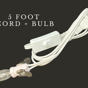 May include: White 5 foot electrical cord with an inline switch and a clear light bulb with a clip on the end.  The cord has a standard US plug.