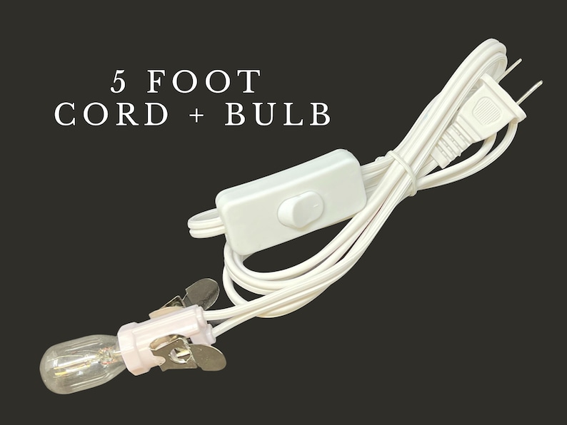 May include: White 5 foot electrical cord with an inline switch and a clear light bulb with a clip on the end.  The cord has a standard US plug.