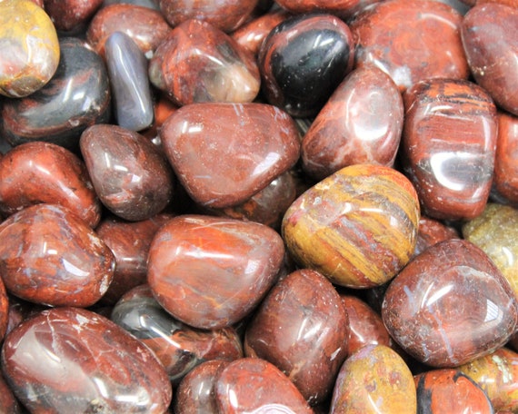 Petrified Wood Tumbled Stones: Choose Ounces or lb Bulk Wholesale Lots (Premium Quality 'A' Grade)