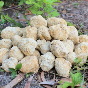 Break Your Own Geodes lb Wholesale Bulk Lots: Choose How Many Pounds  (Large Unopened Moroccan Crystal Quartz Geodes, &#39;A&#39; Grade)