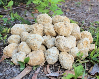 Break Your Own Geodes lb Wholesale Bulk Lots: Choose How Many Pounds  (Large Unopened Moroccan Crystal Quartz Geodes, 'A' Grade)