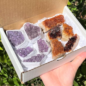 Amethyst & Citrine Crystal Cluster Gift Box (8 - 10 Individual Specimens)