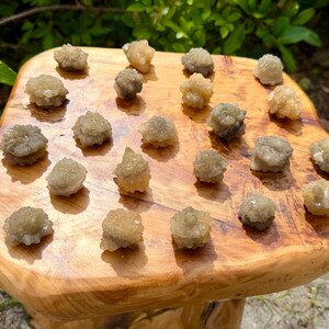 May include: A collection of twenty small, rough, beige and light brown mineral clusters arranged on a polished, irregular wooden slab with visible grain patterns. Each mineral piece features a textured, crystalline surface with varied shapes.