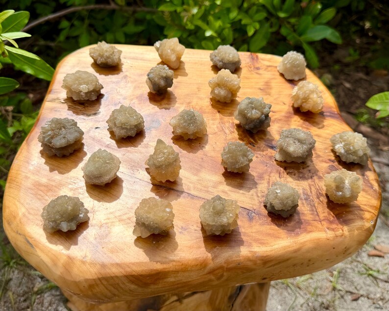 May include: A collection of twenty small, rough, beige and light brown mineral clusters arranged on a polished, irregular wooden slab with visible grain patterns. Each mineral piece features a textured, crystalline surface with varied shapes.