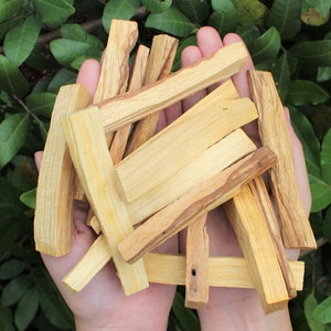 May include: A collection of Palo Santo wood sticks, displaying a range of light and dark brown hues. The sticks are held in an open hand, set against a background of green foliage, highlighting the natural wood grain.
