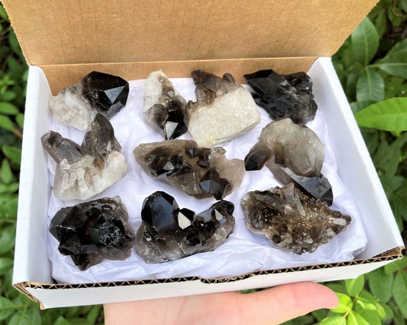 Smoky Quartz Crystal Cluster Box: 6 - 9 Piece Crystal Collection ('A' Grade, Smokey Quartz, Quartz Crystal, Crystal Cluster)