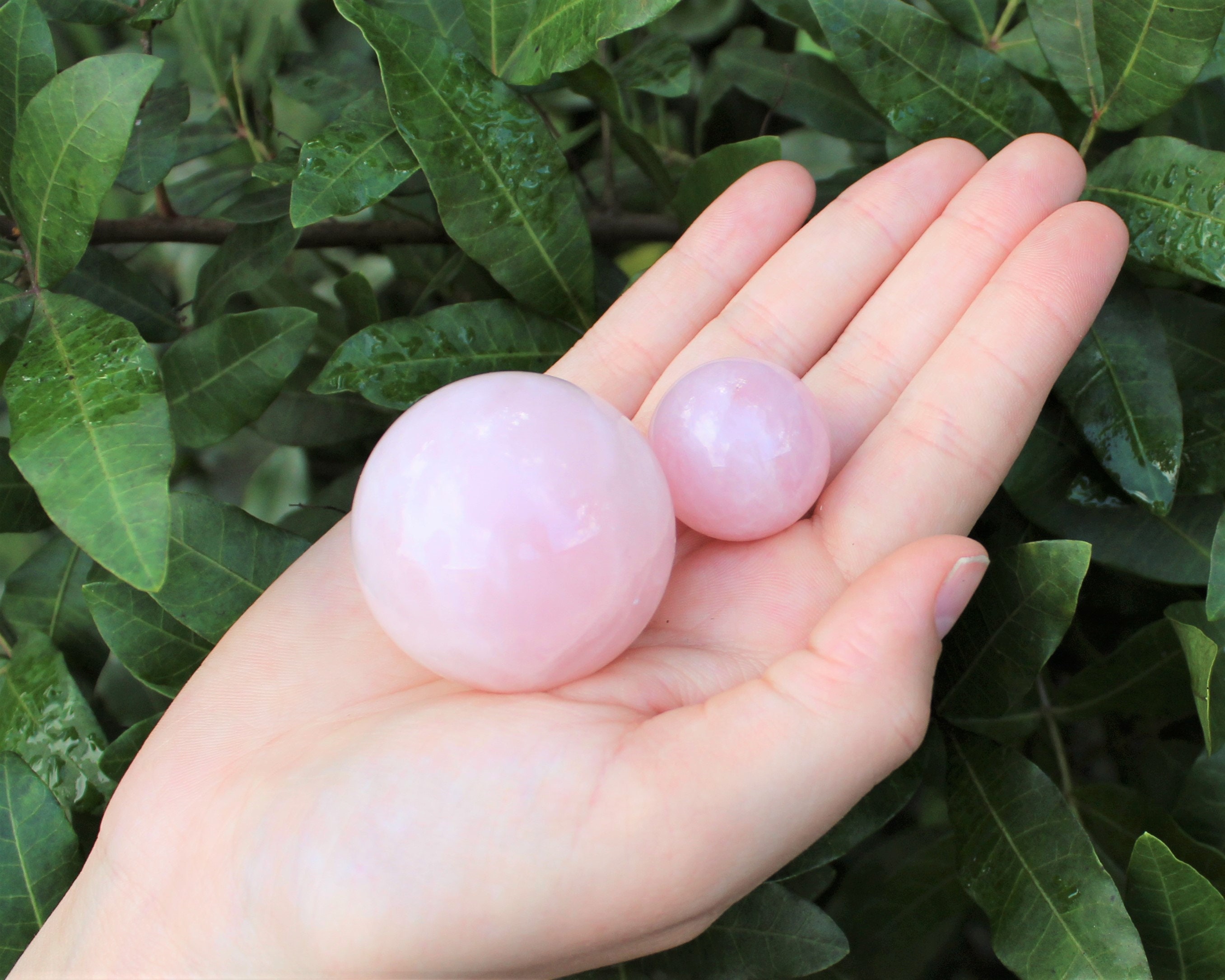 Rose Quartz Crystal Sphere Display Stand Choose Size! ('AAA' Grade