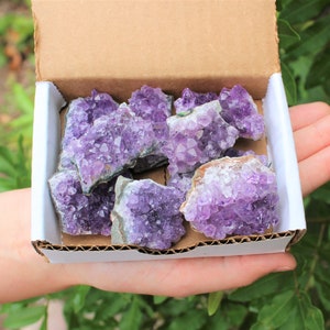 Natural Amethyst Cluster Druze Collection Box: 7 - 9 oz Box Lot (6 - 10 Pieces) (Amethyst Cluster, Amethyst Geode, Amethyst Crystal)